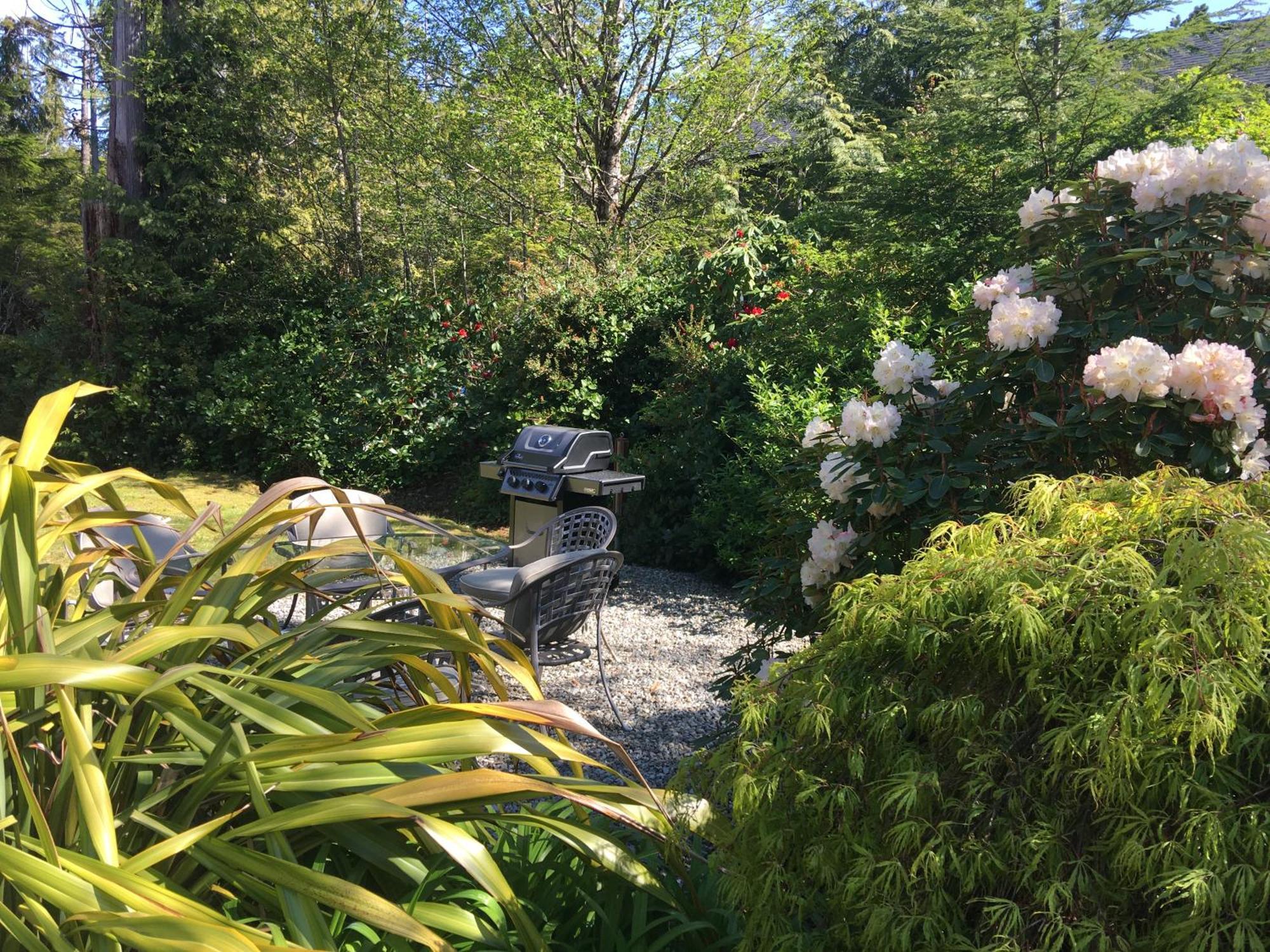 Cobble Wood And Bird Sanctuary Guest Houses 토피노 외부 사진