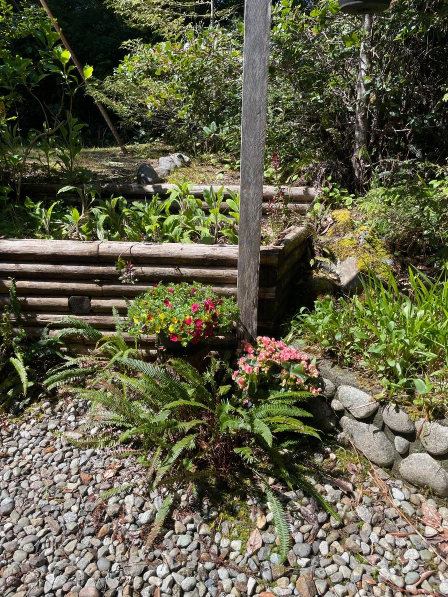 Cobble Wood And Bird Sanctuary Guest Houses 토피노 외부 사진